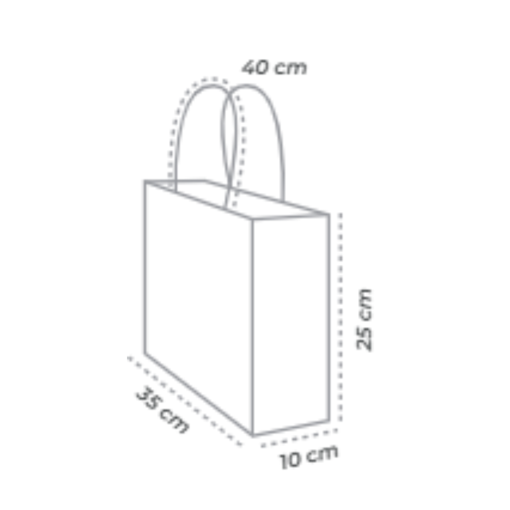 ECO-BOLSA ZAPATERA 25 x 35 +10 cm
