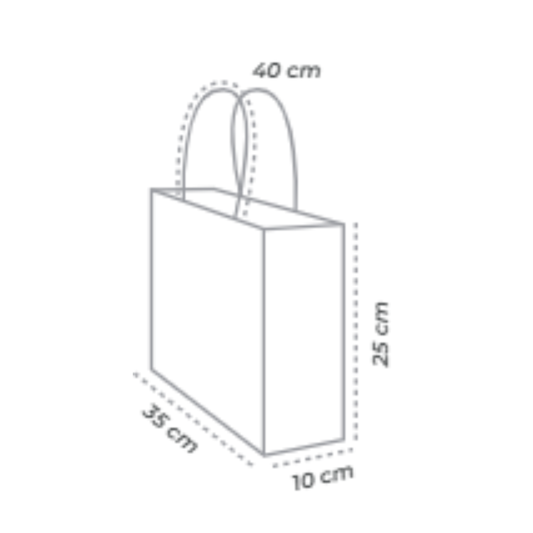 ECO-BOLSA ZAPATERA 25 x 35 +10 cm